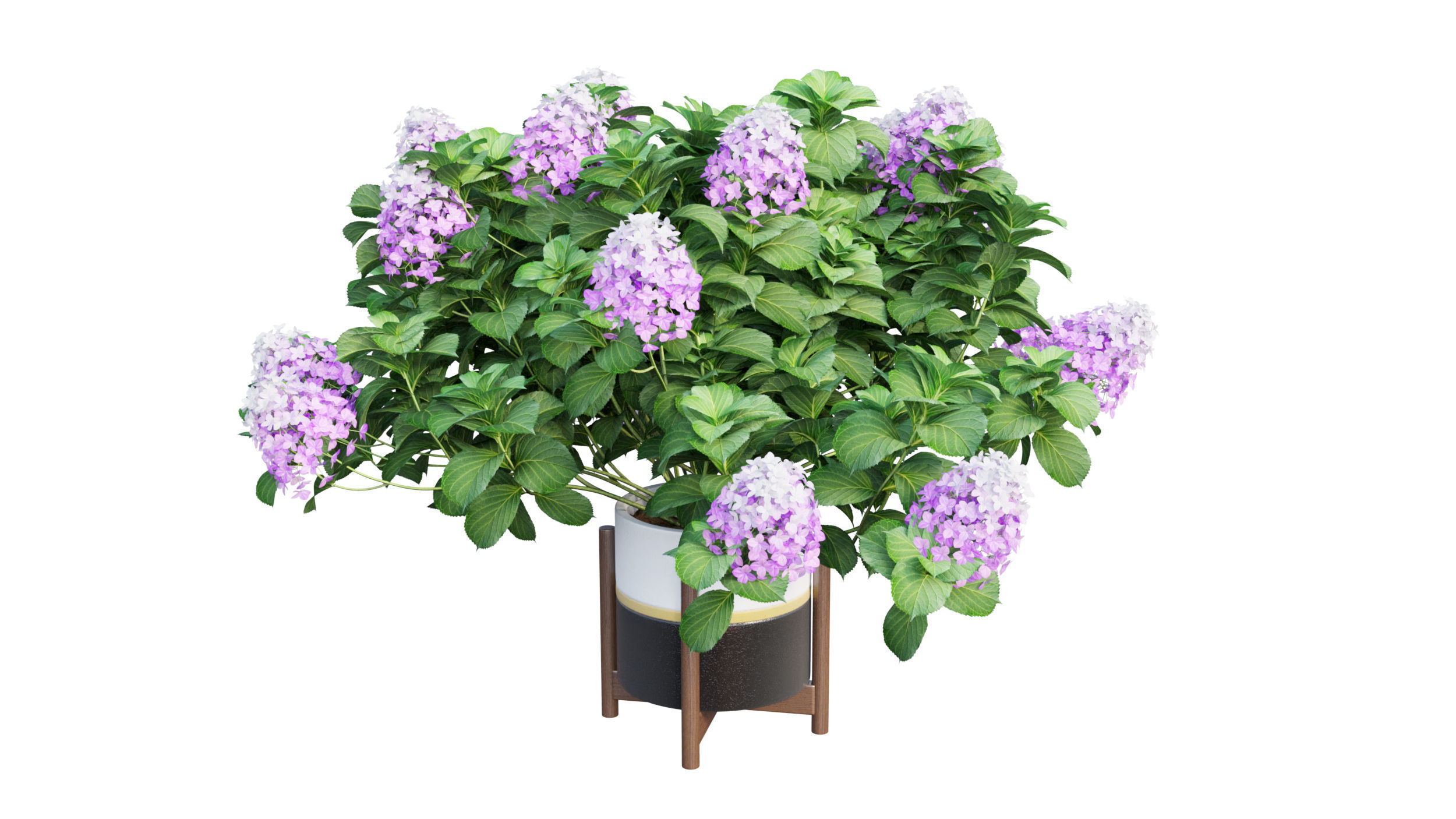 Plants Hydrangea set 10 3D model_12