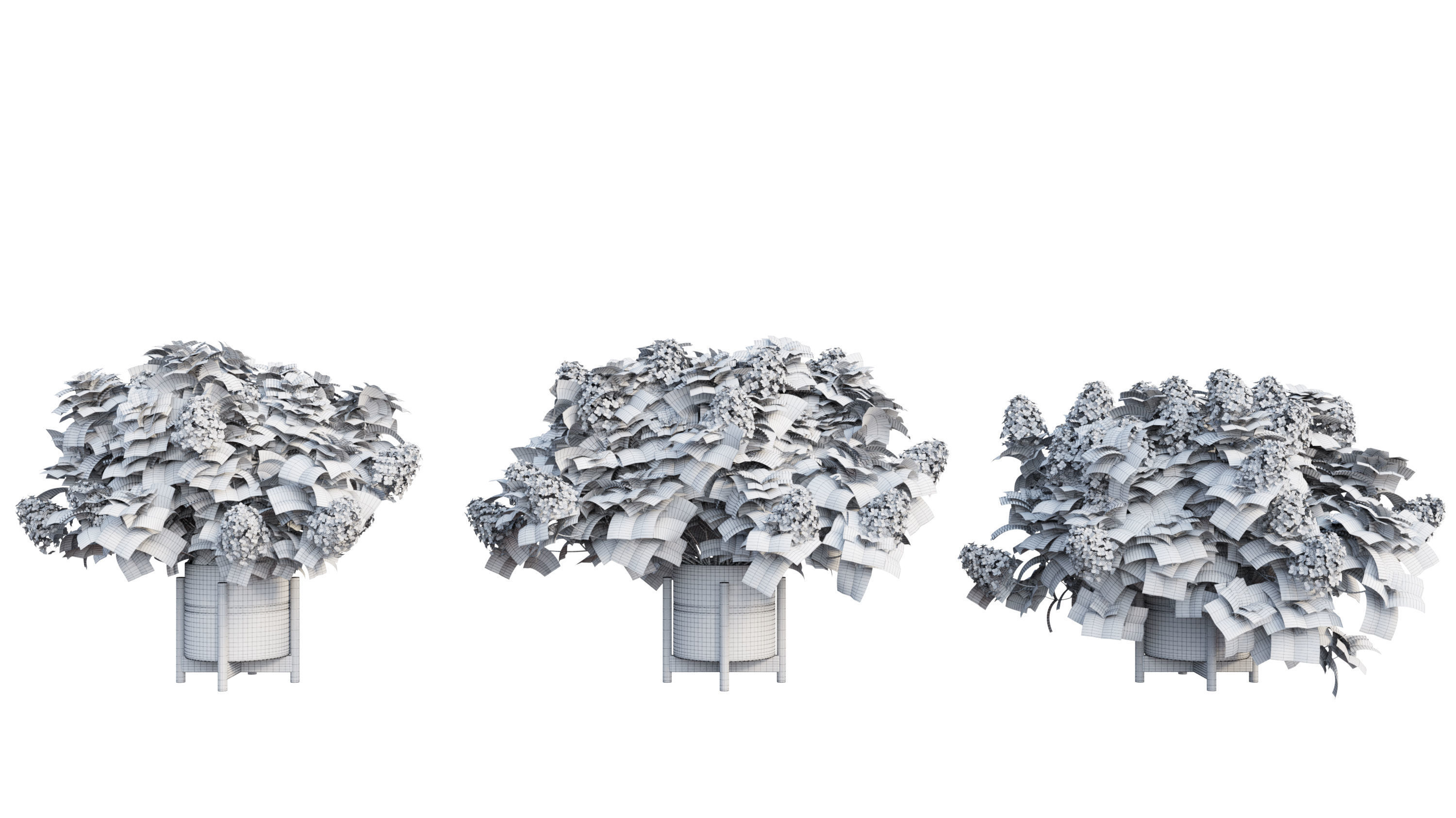 Plants Hydrangea set 10 3D model_20