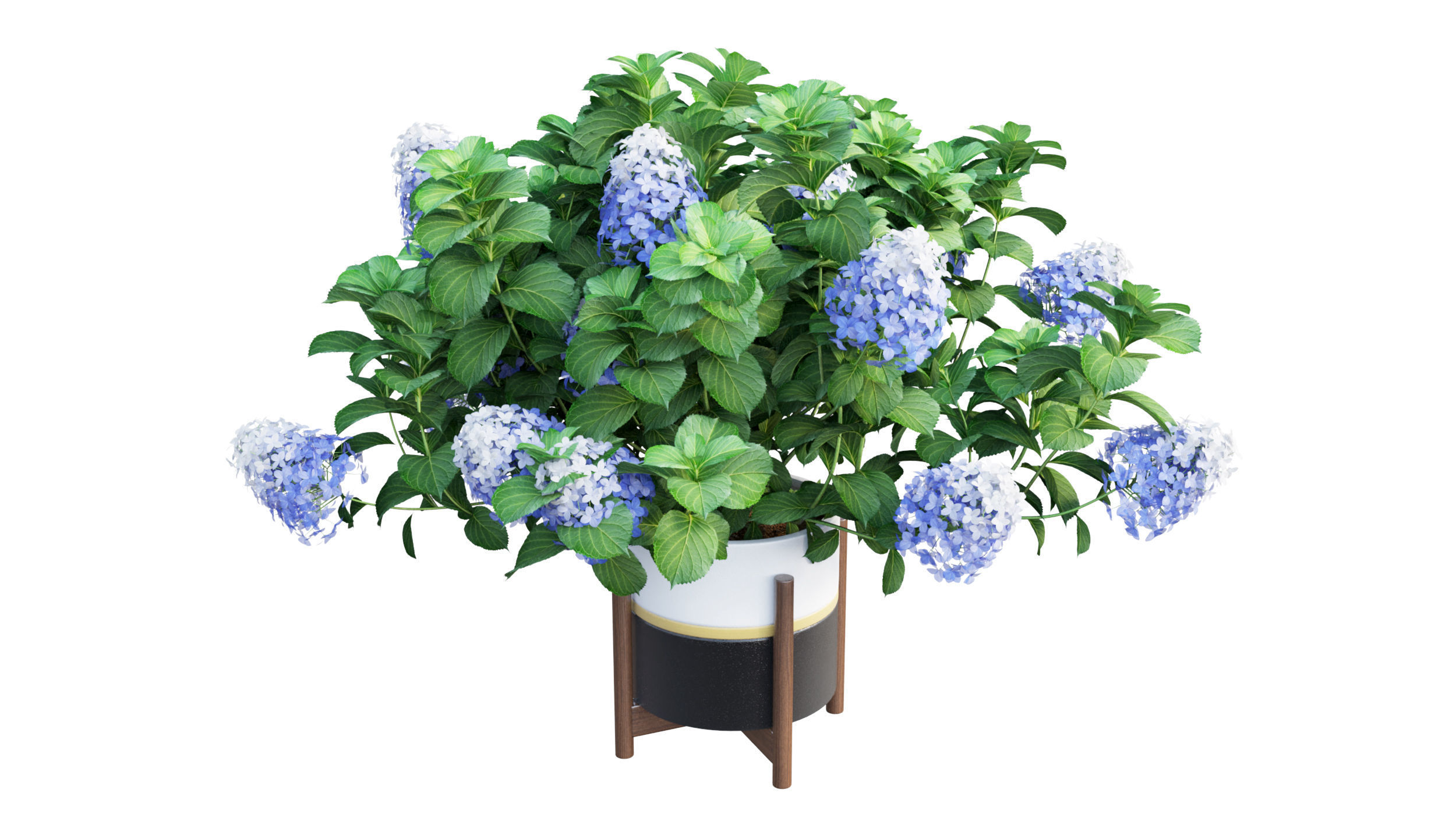 Plants Hydrangea set 10 3D model_10