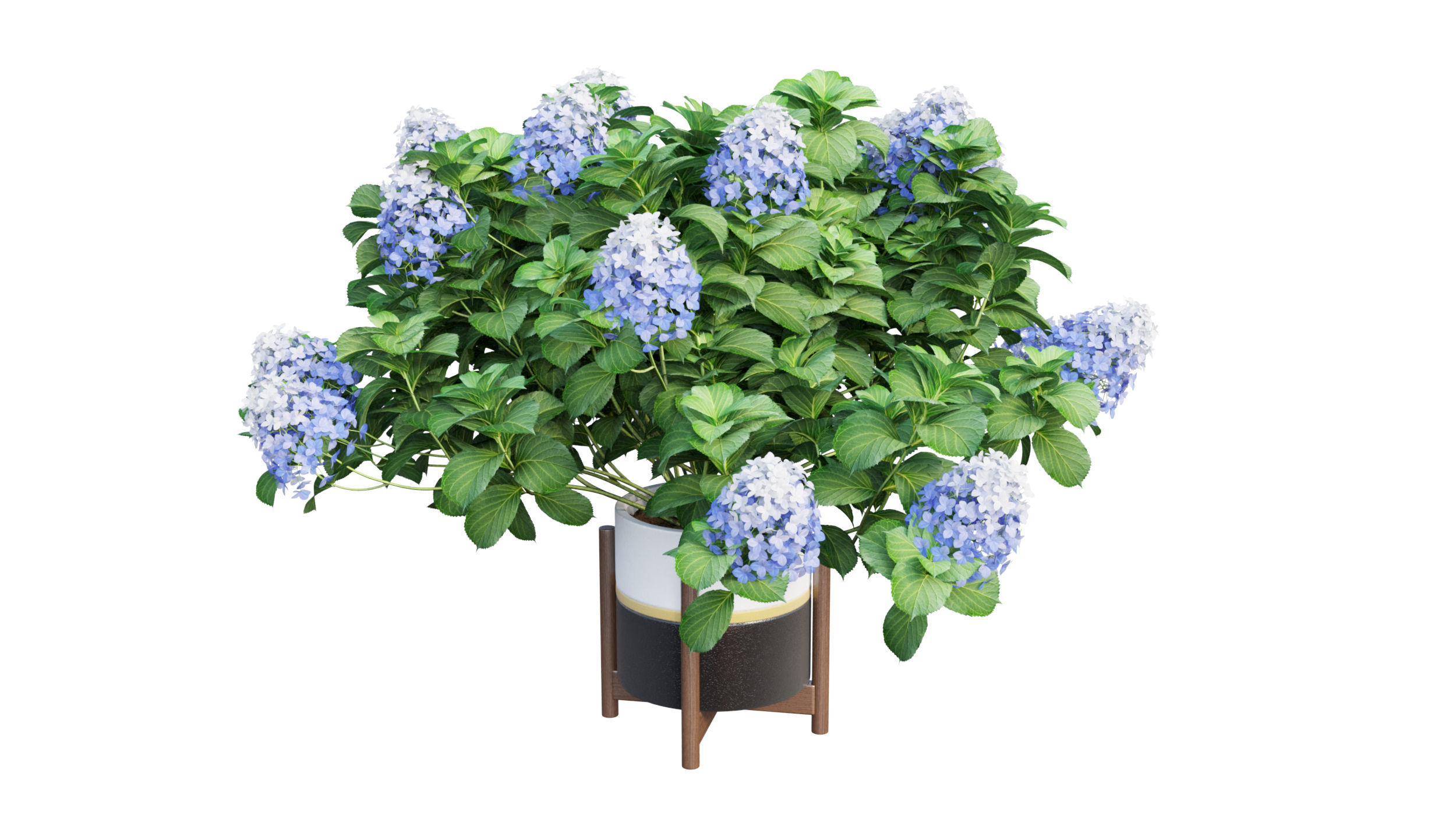 Plants Hydrangea set 10 3D model_13