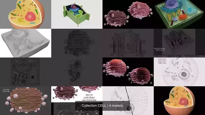 Collection CELL stack of balls 