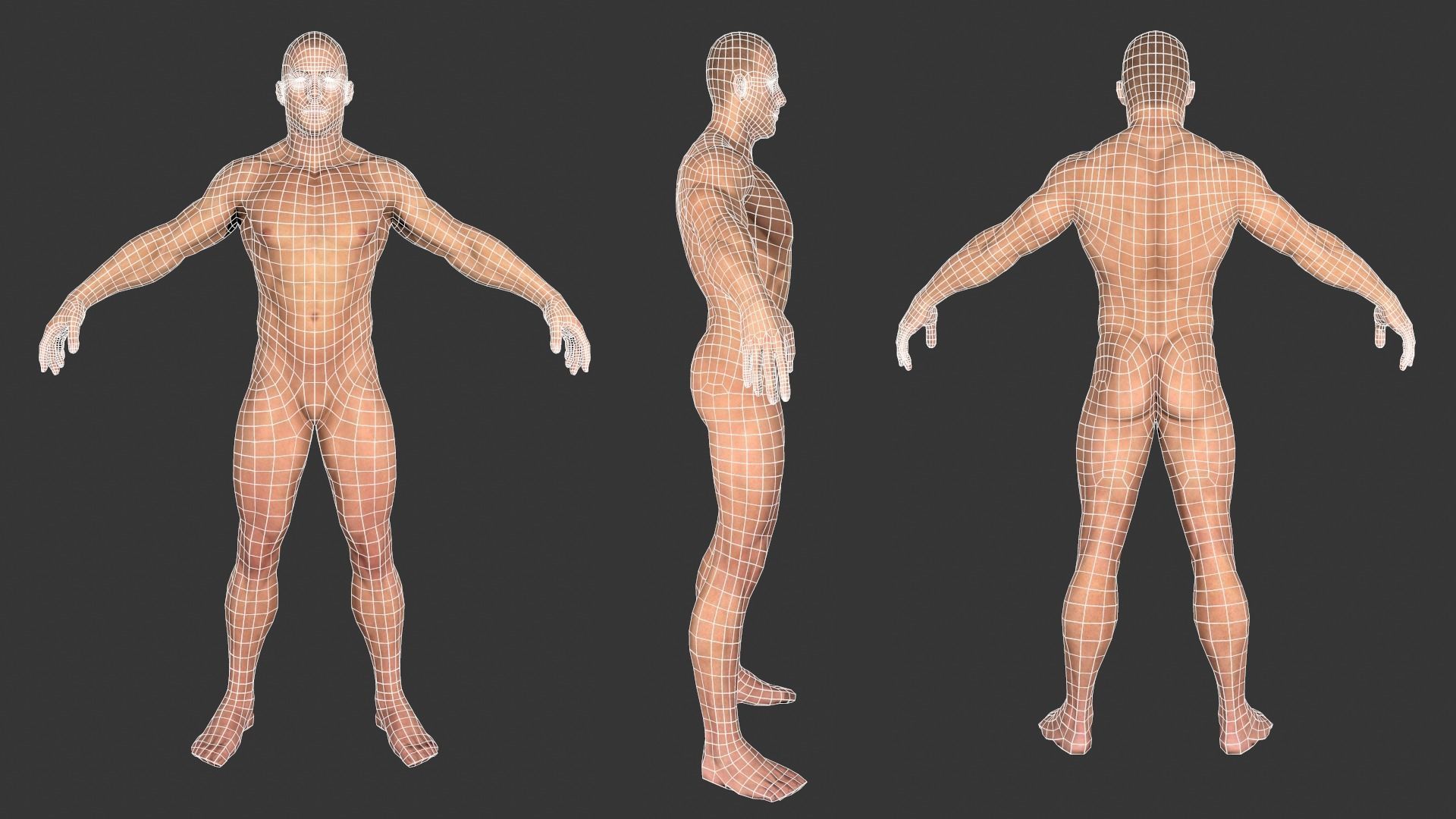 Low poly Base meshes Male and Female Free low-poly 3D model_5