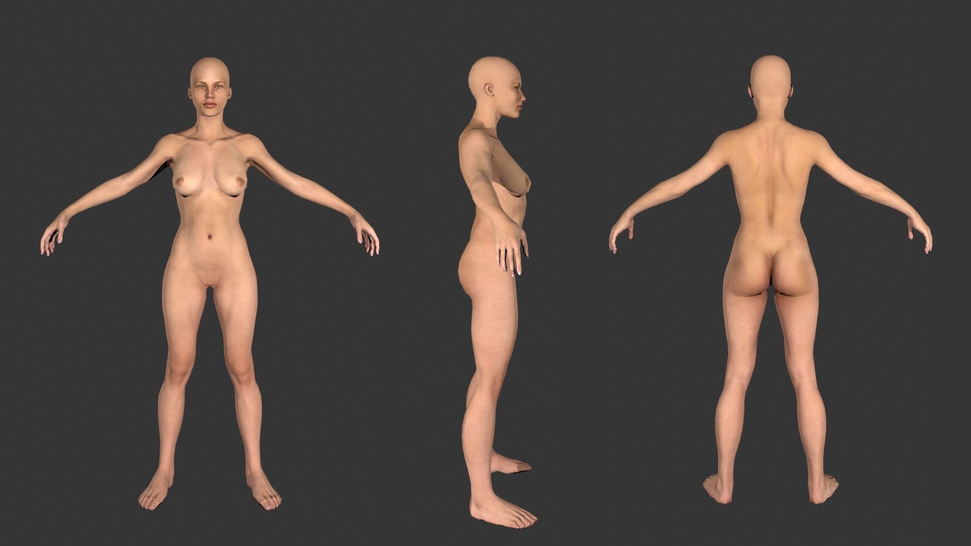 Low poly Base meshes Male and Female Free low-poly 3D model_6
