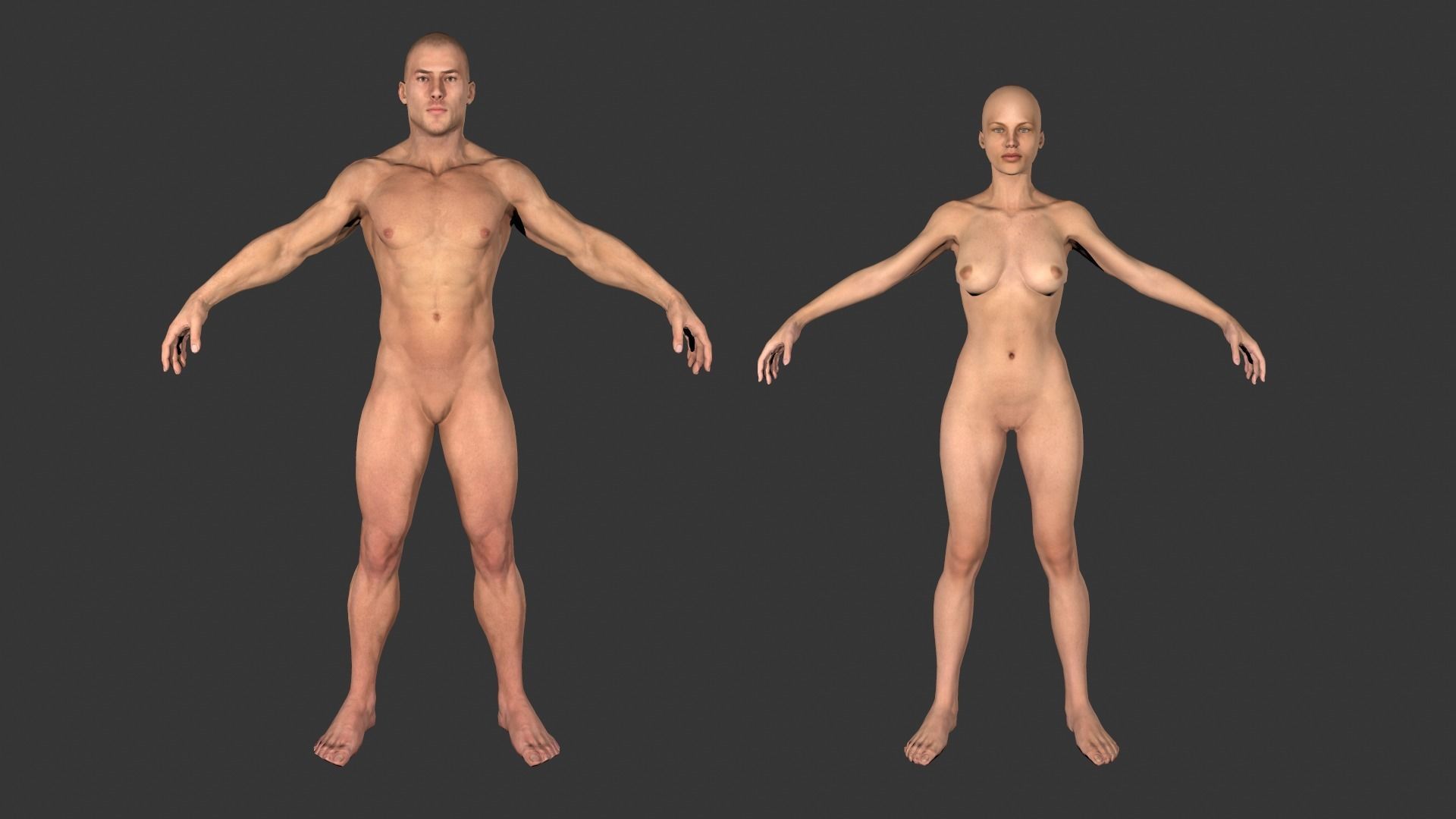 Low poly Base meshes Male and Female Free low-poly 3D model_3