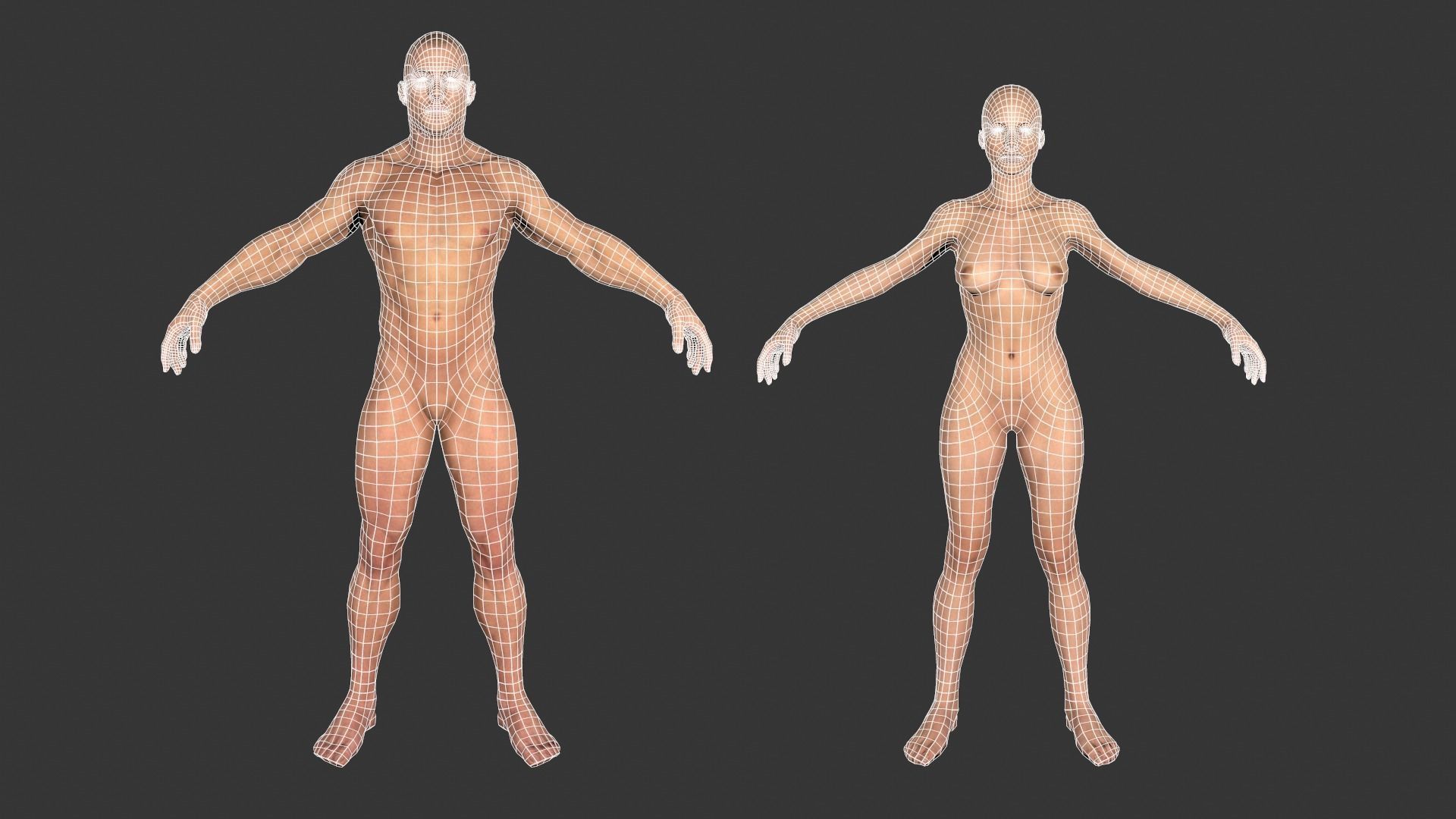 Low poly Base meshes Male and Female Free low-poly 3D model_0