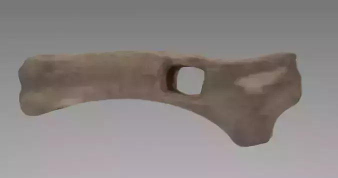 archaeological artifact