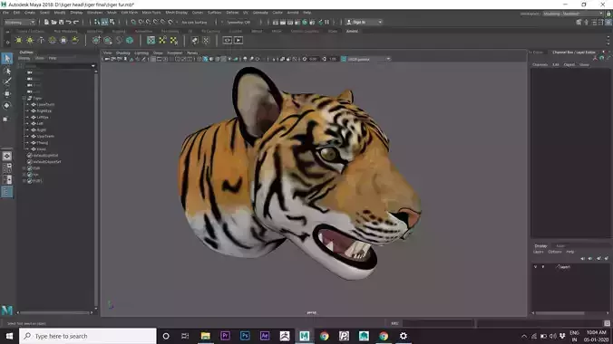 tiger head