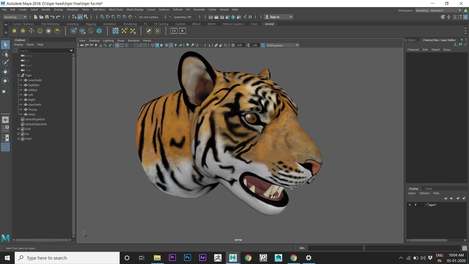 tiger