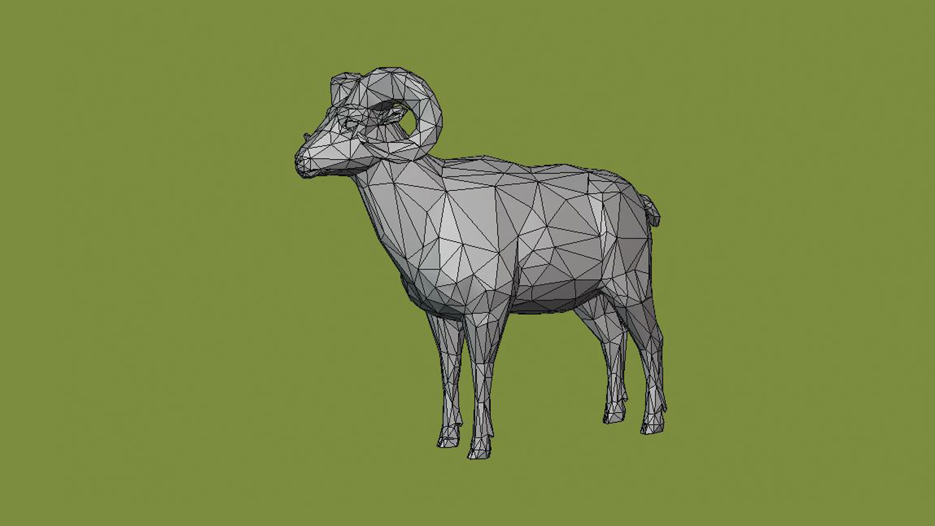 Horned sheep 3D model_2