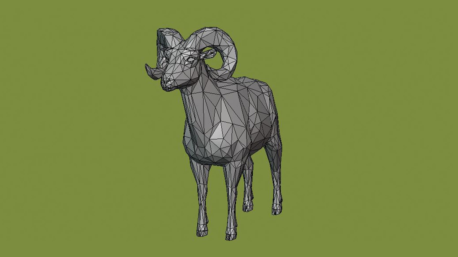 Horned sheep 3D model_1
