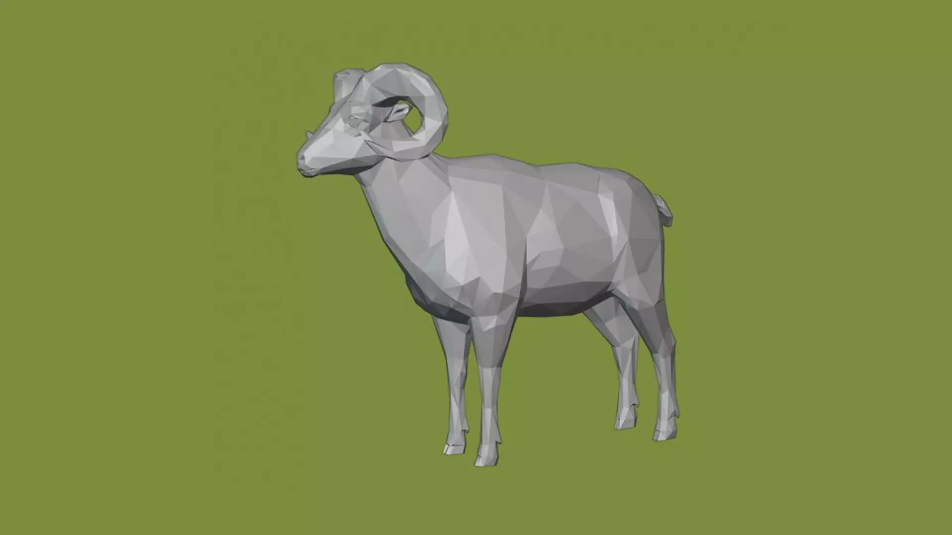 Horned sheep 3D model_0