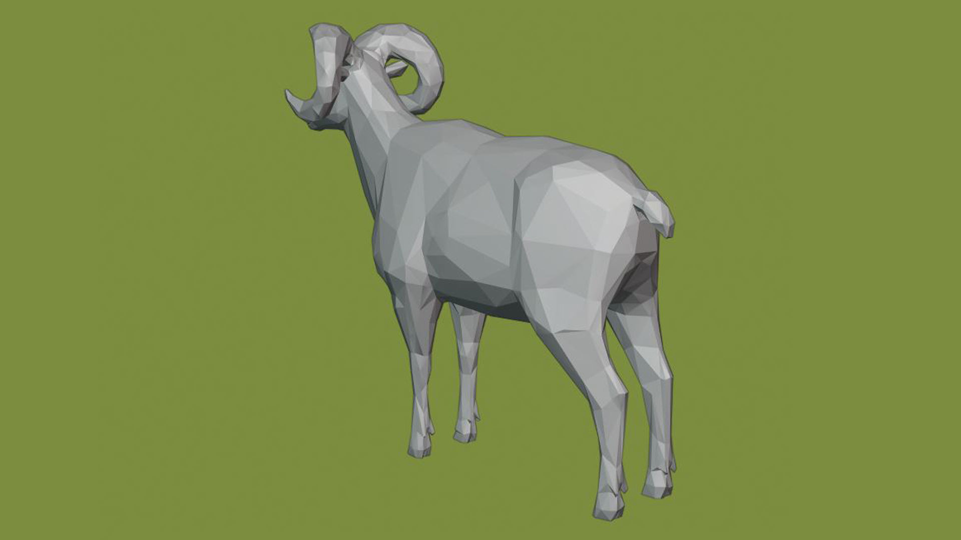 Horned sheep 3D model_4