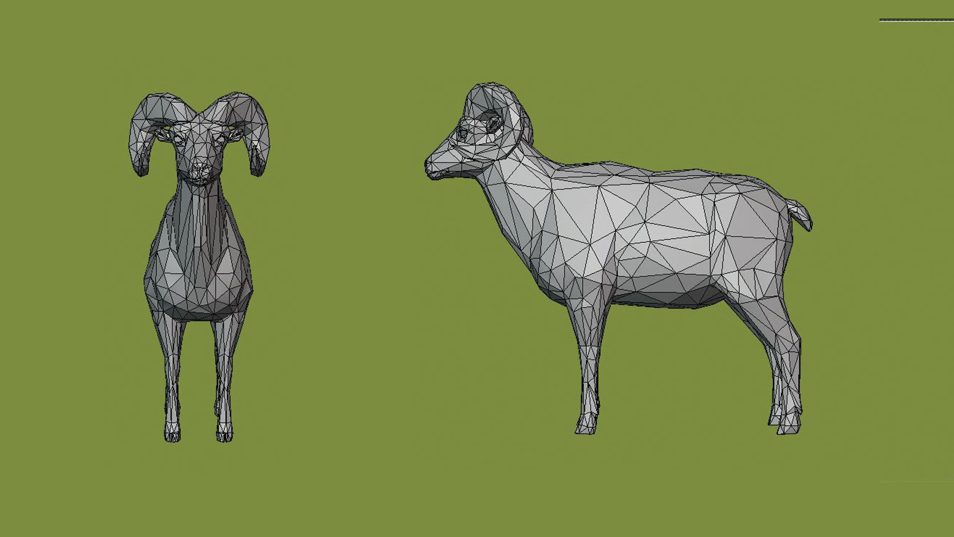 Horned sheep 3D model_3