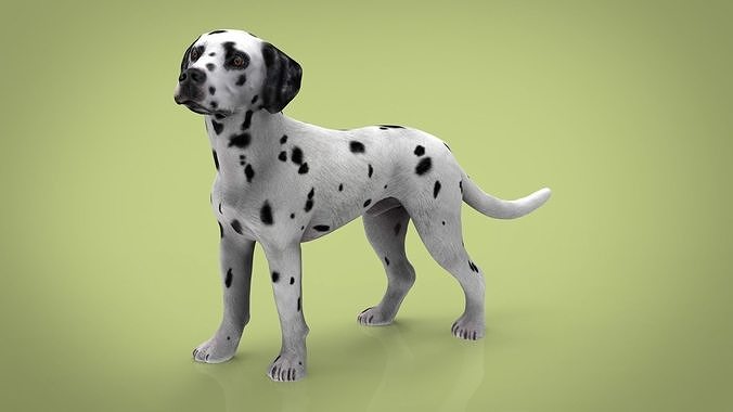 DALMATIAN dog Low-poly 3D model