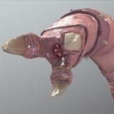 The Earth Worm Low-poly 3D model