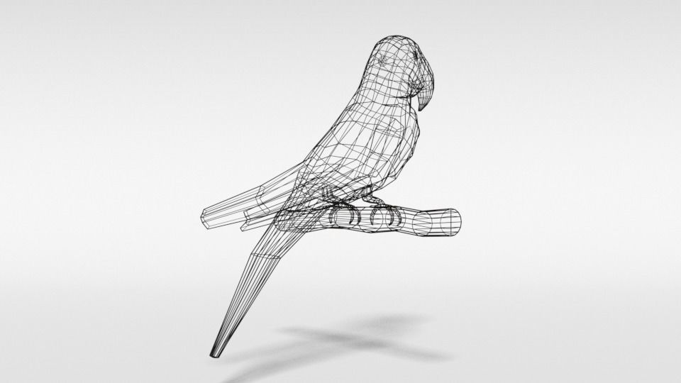 Low Poly Cartoon Macaw Parrot Low-poly 3D model_14
