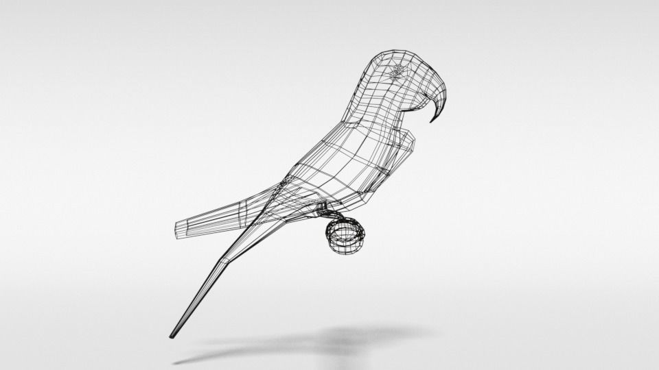 Low Poly Cartoon Macaw Parrot Low-poly 3D model_13