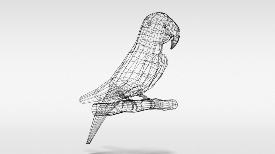 Low Poly Cartoon Macaw Parrot Low-poly 3D model_12