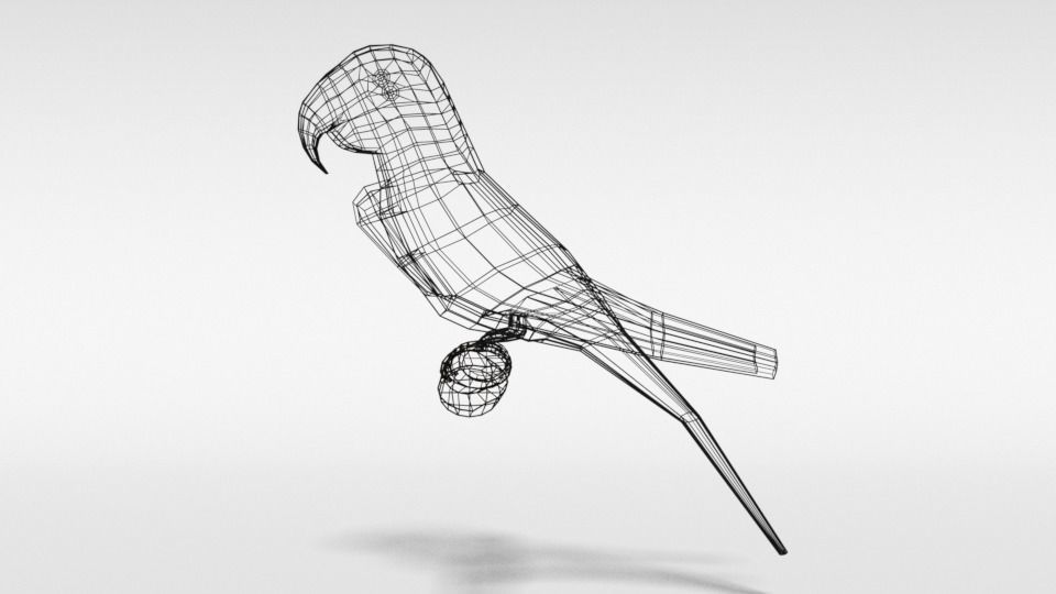 Low Poly Cartoon Macaw Parrot Low-poly 3D model_10