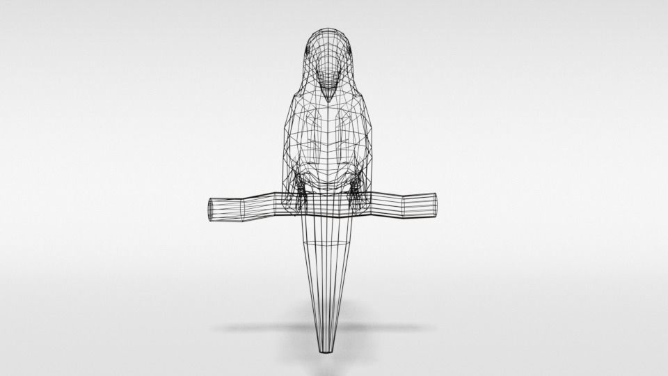 Low Poly Cartoon Macaw Parrot Low-poly 3D model_15