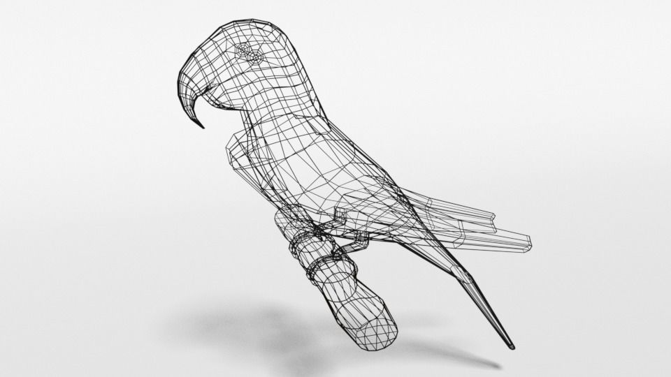 Low Poly Cartoon Macaw Parrot Low-poly 3D model_9