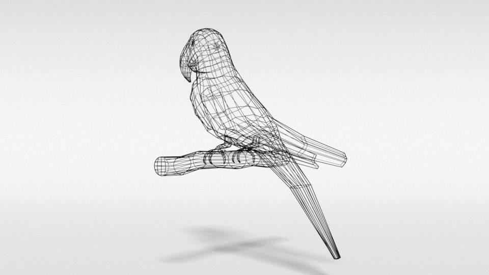 Low Poly Cartoon Macaw Parrot Low-poly 3D model_16