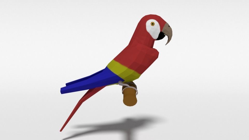 Low Poly Cartoon Macaw Parrot Low-poly 3D model_4