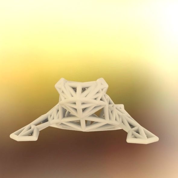 North American Bullfrog 3D print model_69