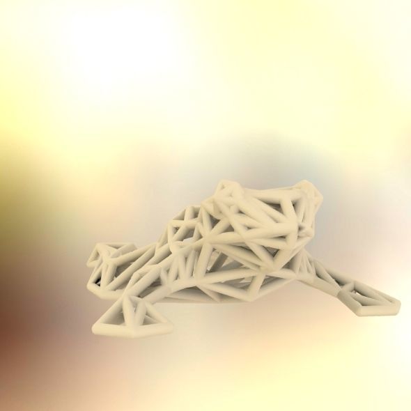North American Bullfrog 3D print model_47