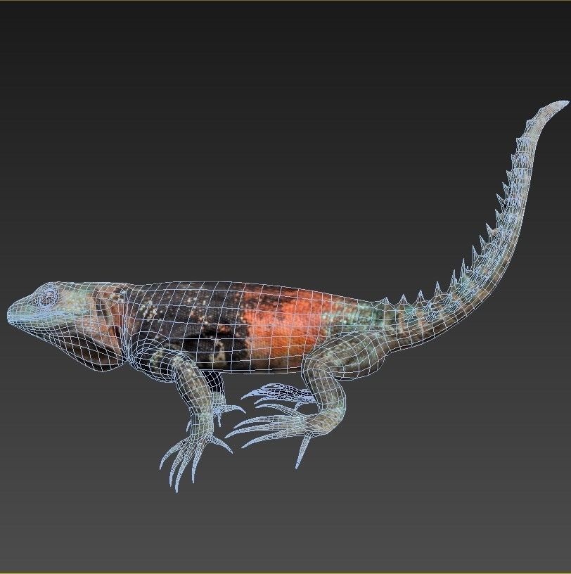 Reptile set two iguanas Low-poly 3D model_6