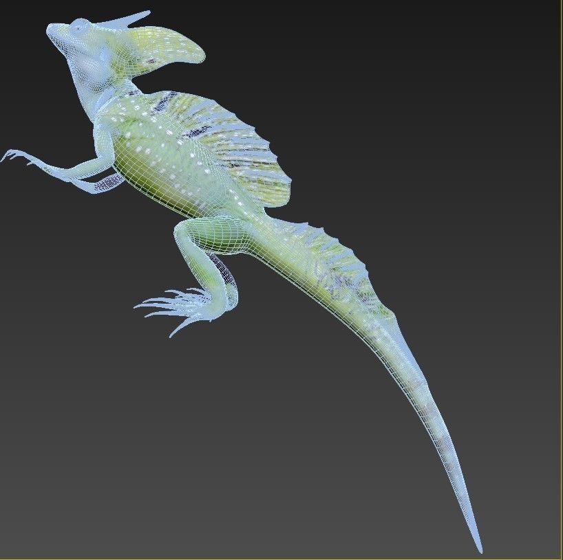 Reptile set two iguanas Low-poly 3D model_11