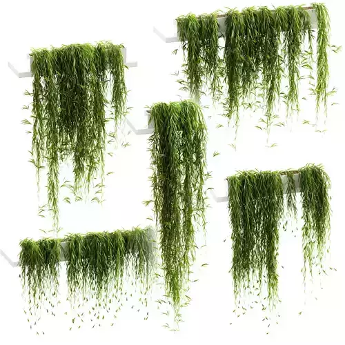 Hanging plants for shelves - 5 models - set 3