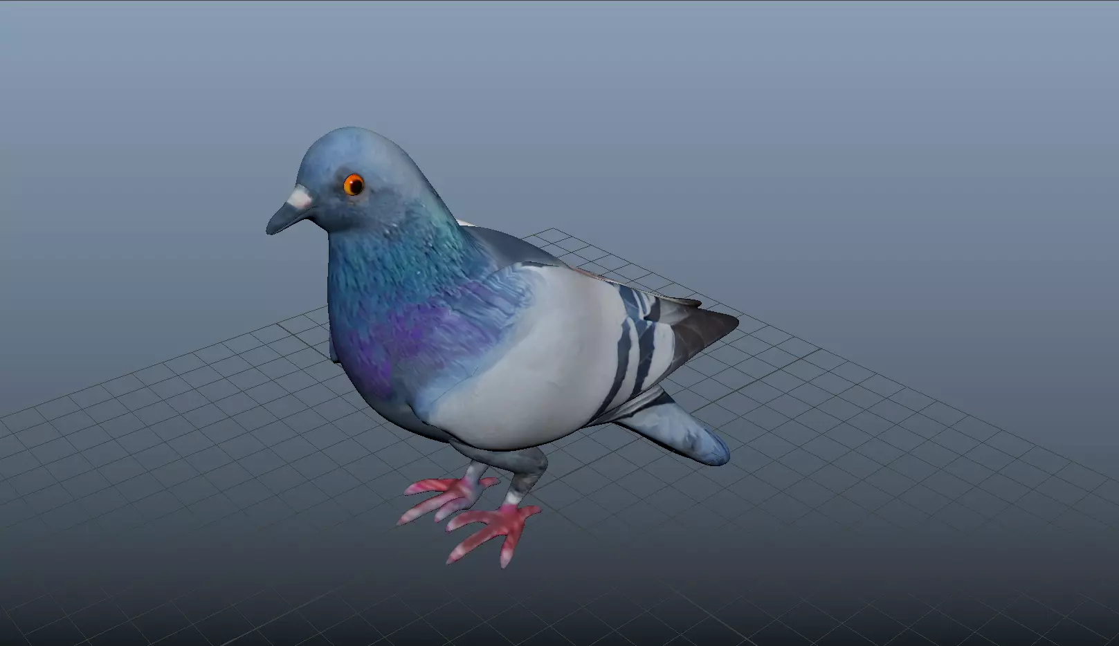 pigeon 3d model 3D model_0