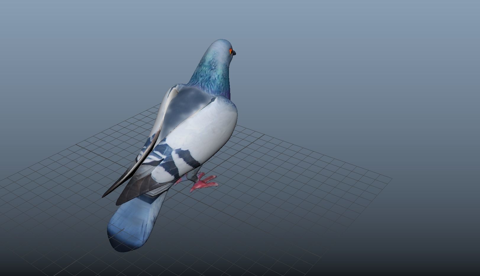 pigeon 3d model 3D model_1