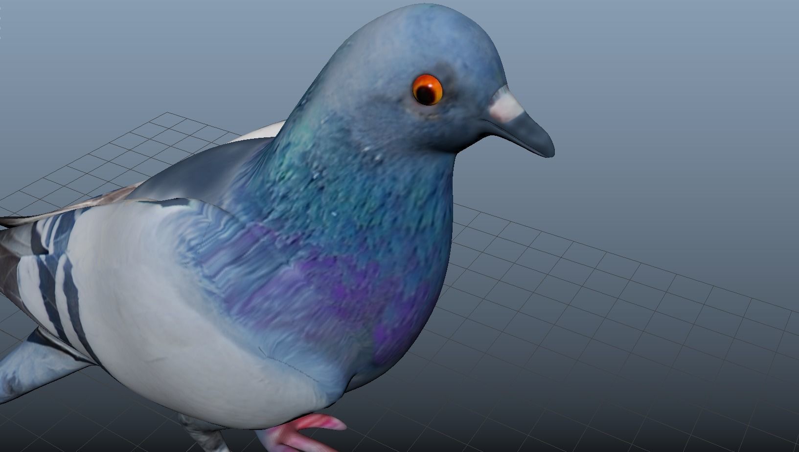 pigeon 3d model 3D model_2