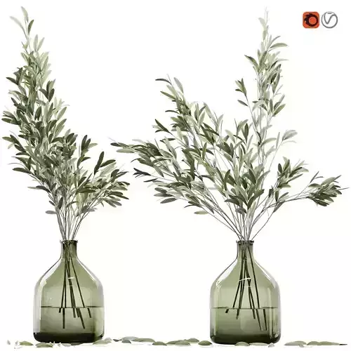 Olive stems in glass vase with water 3D model