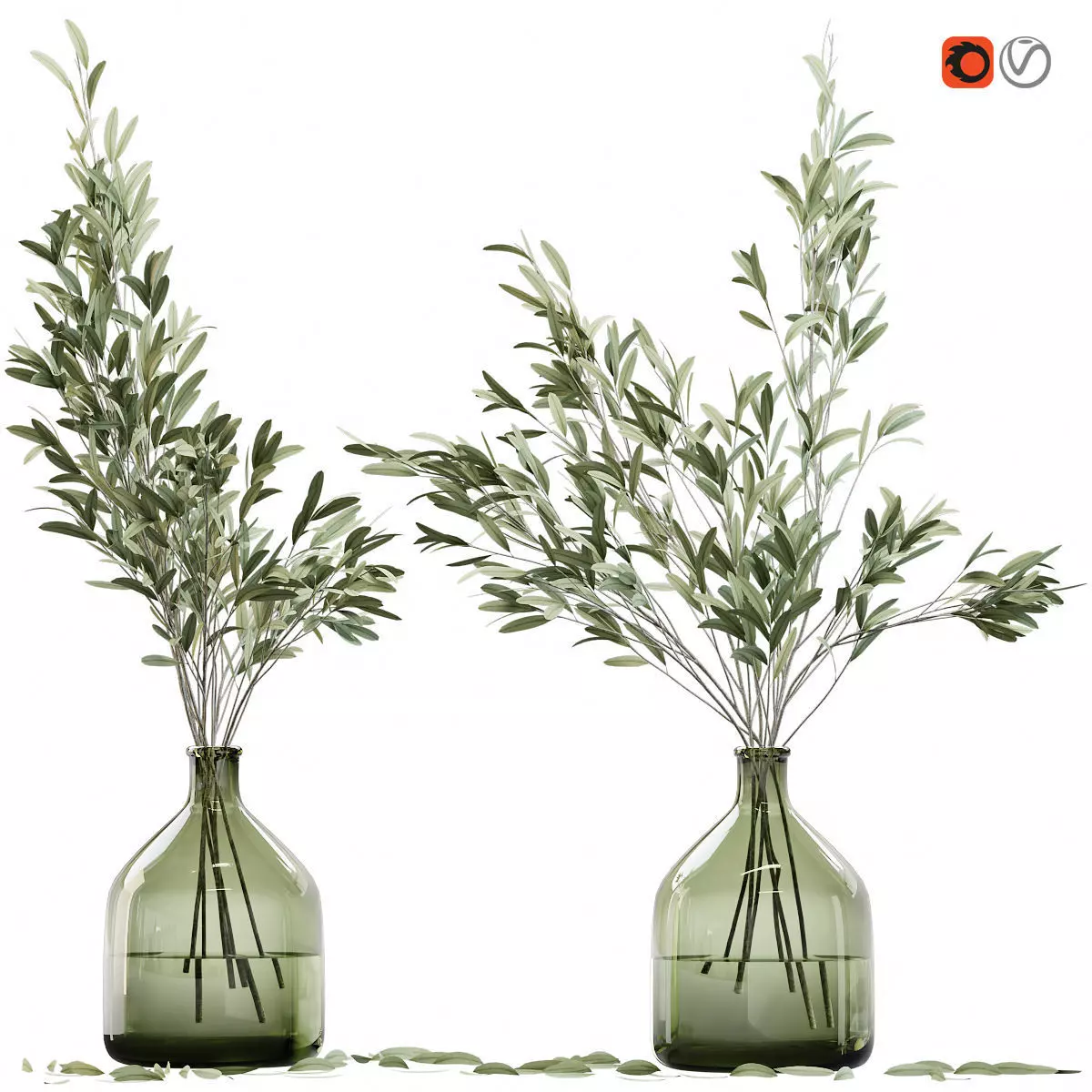 Olive stems in glass vase with water 3D model_0