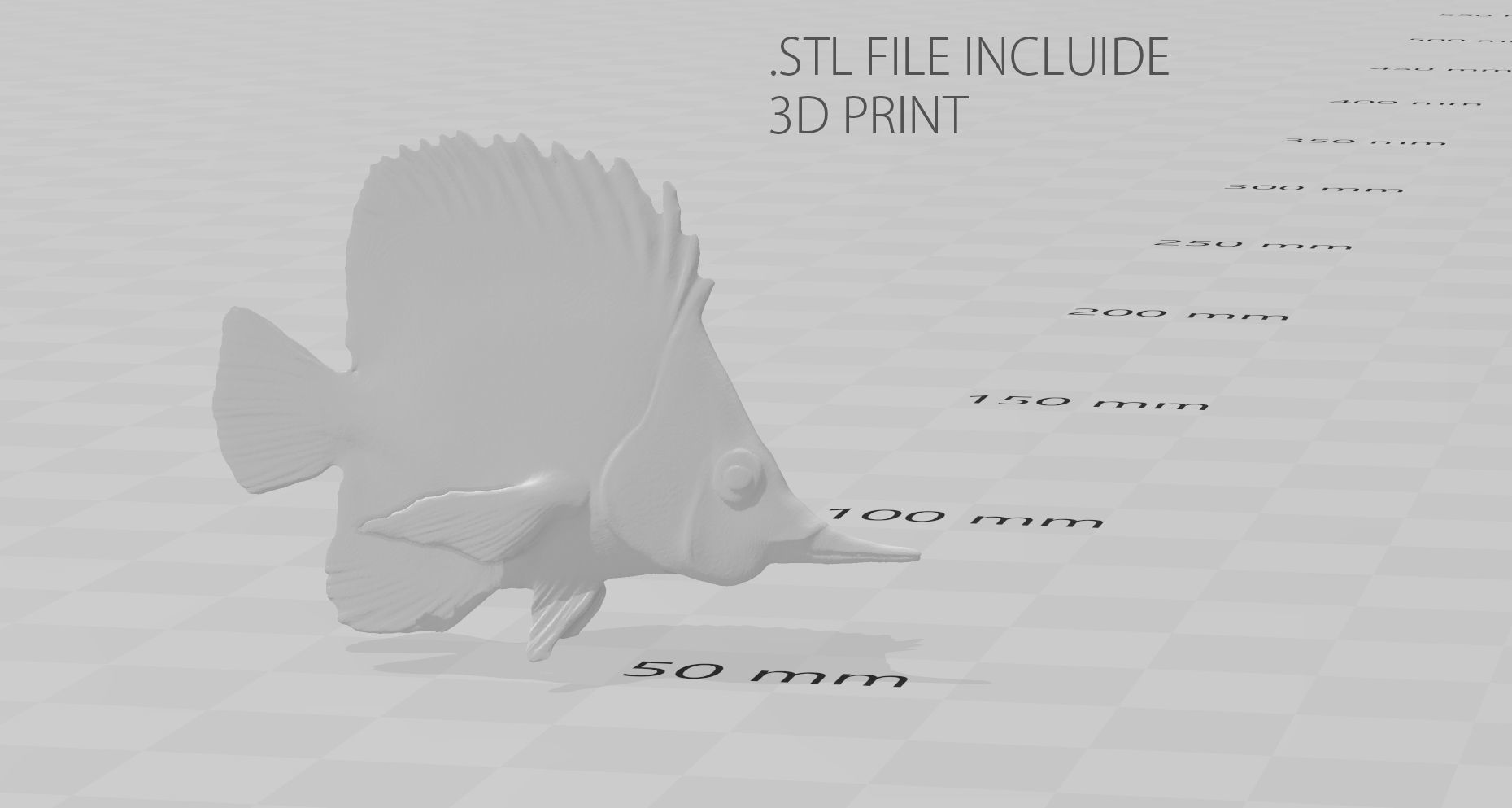 CORAL FISH Low-poly 3D model_9