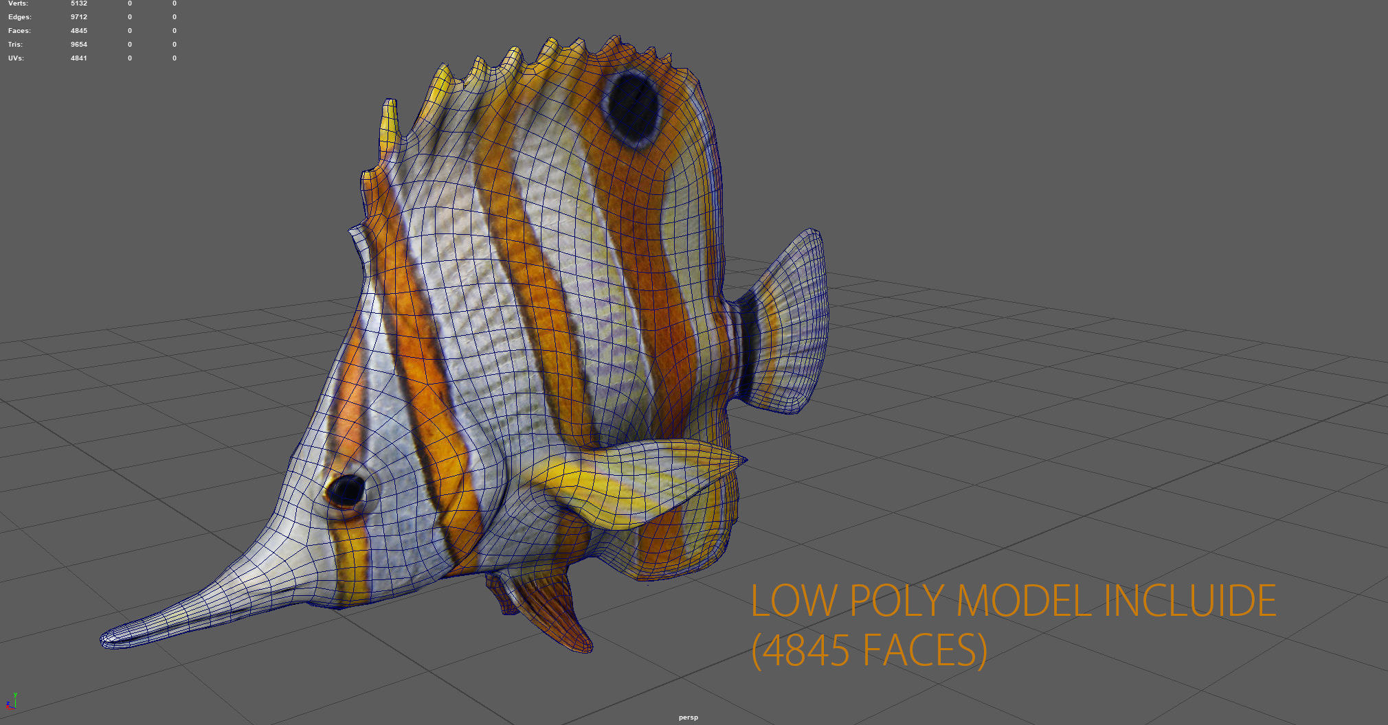 CORAL FISH Low-poly 3D model_10