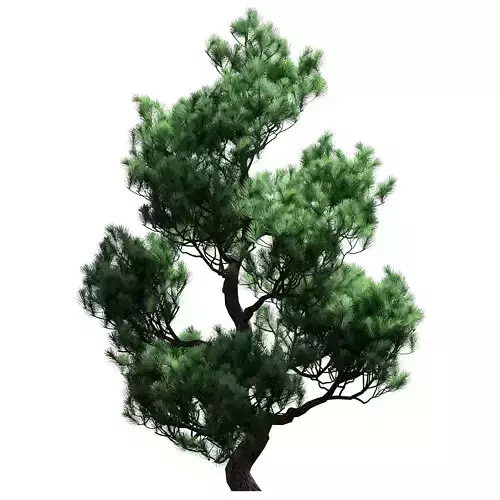 Decorative pine tree