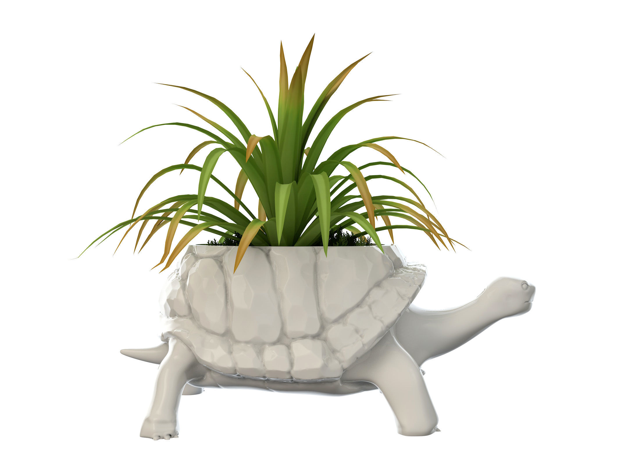 Turtle Vase plant 3D print model_4