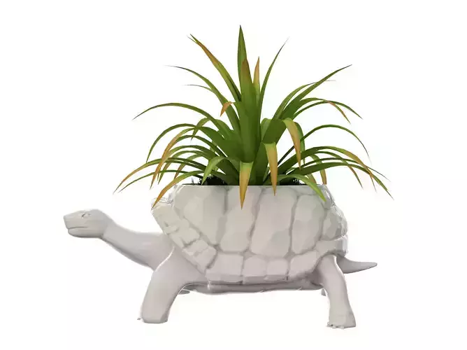 Turtle Vase plant 3D print model