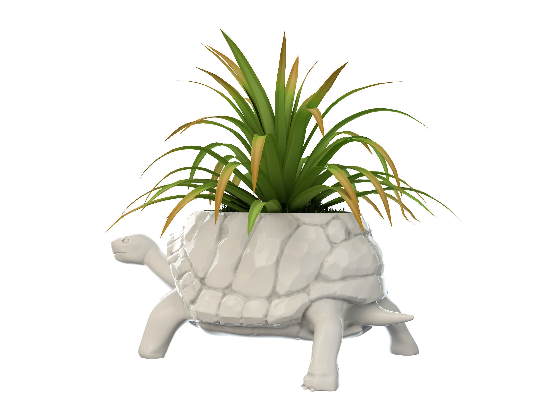 Turtle Vase plant 3D print model_7