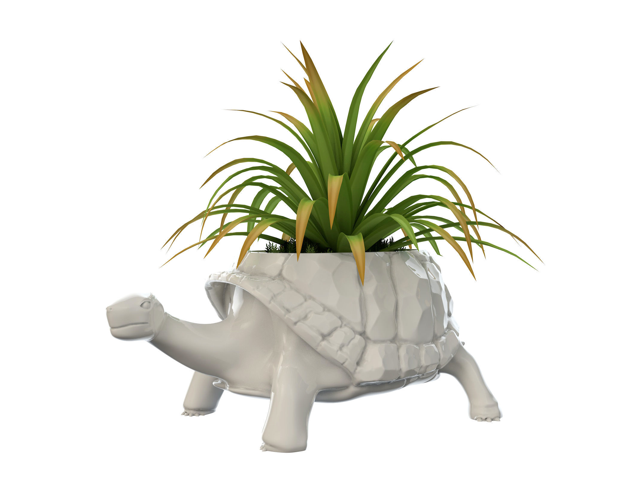 Turtle Vase plant 3D print model_1