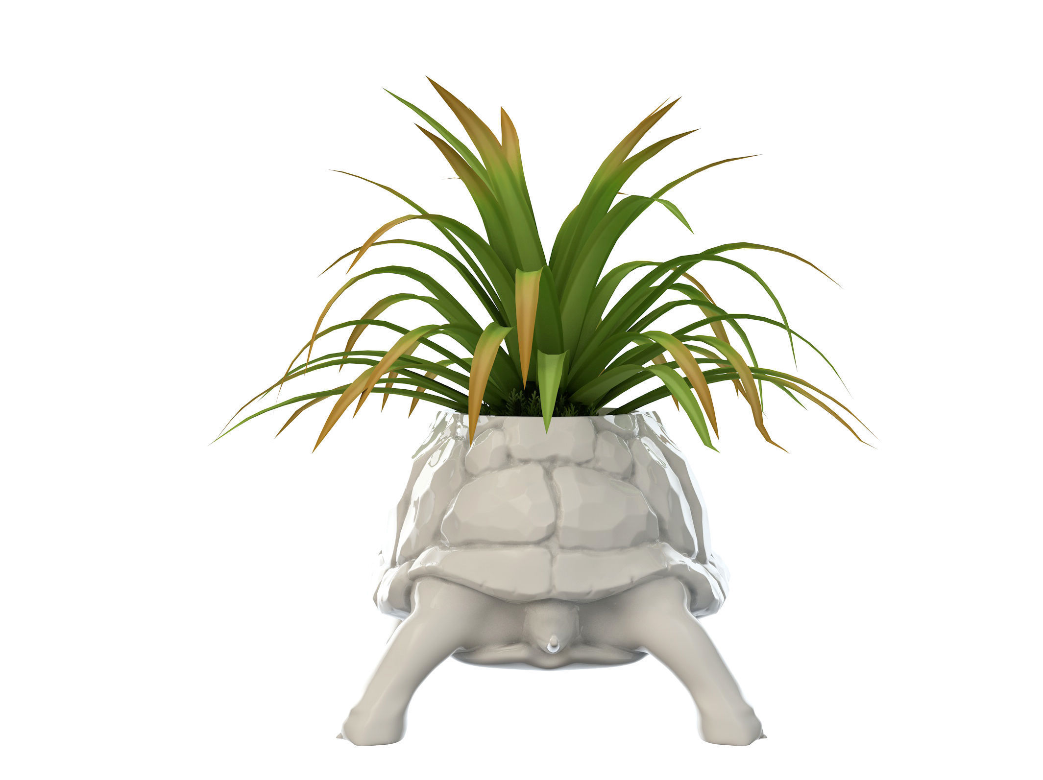 Turtle Vase plant 3D print model_6