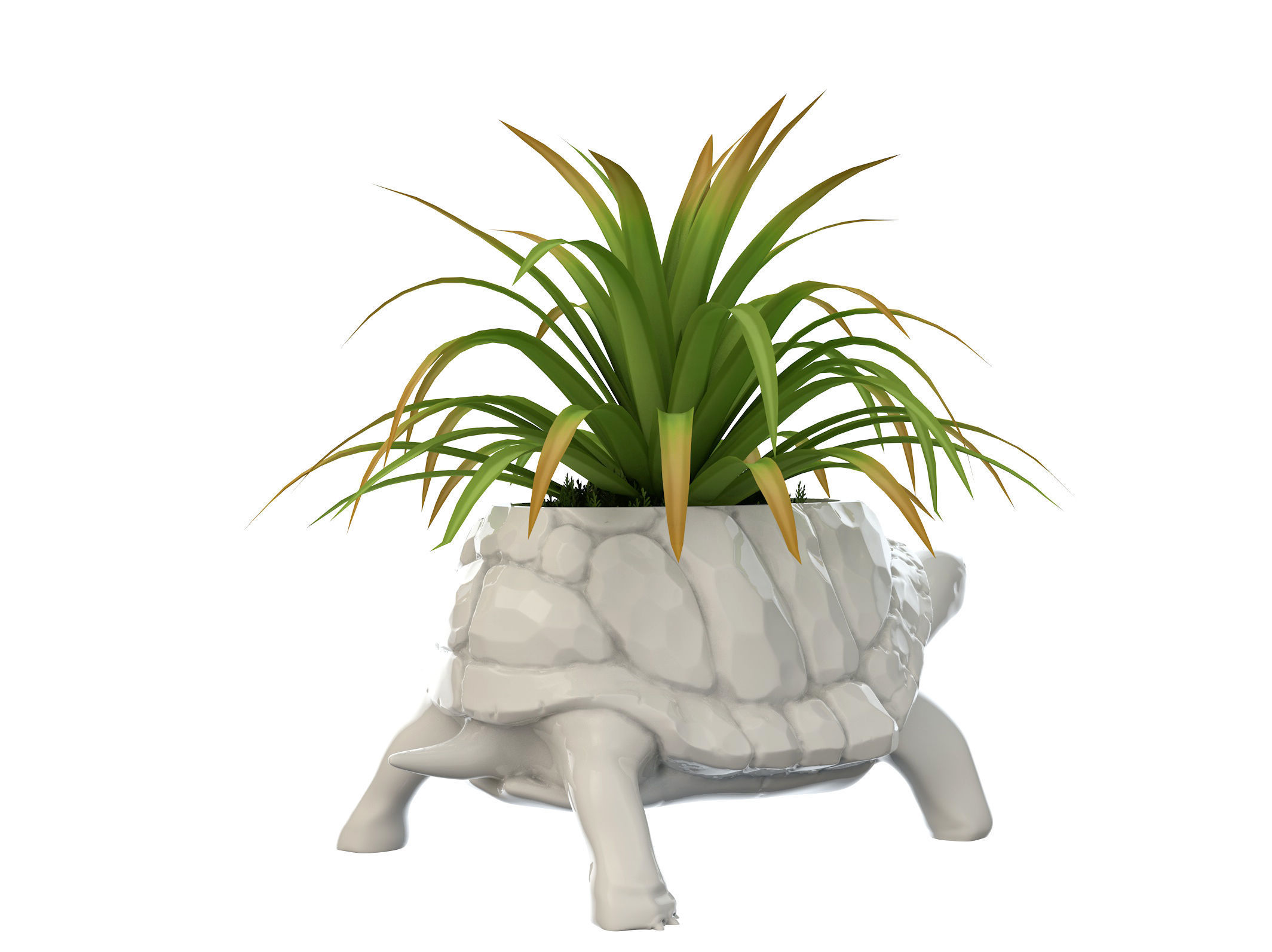 Turtle Vase plant 3D print model_5