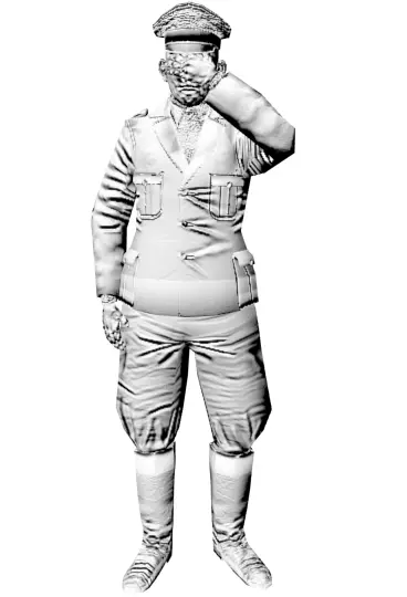 Character Oficial 2ww Normal map Free low-poly 3D model_0