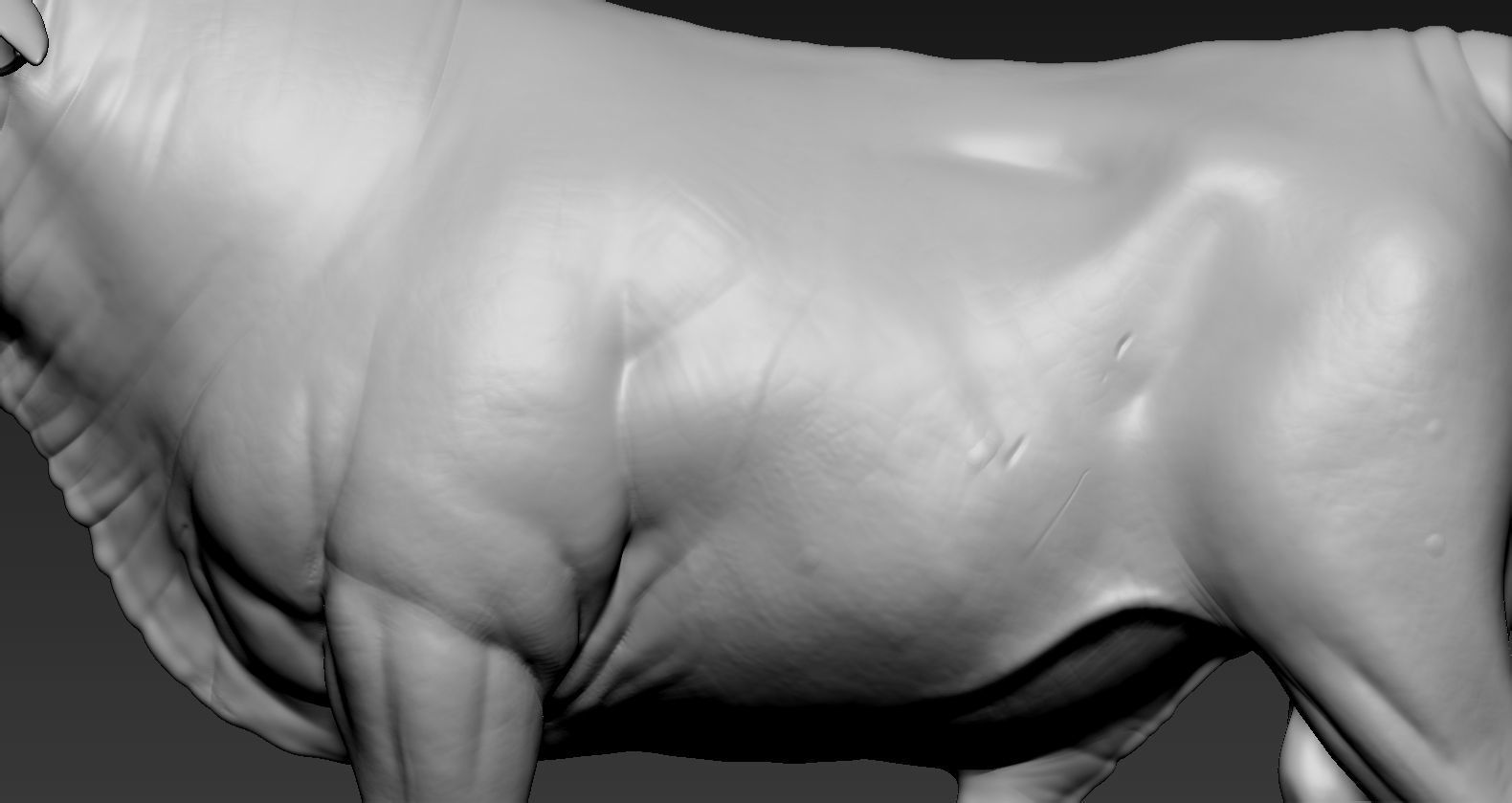 Toros Bravos 3D print model_13