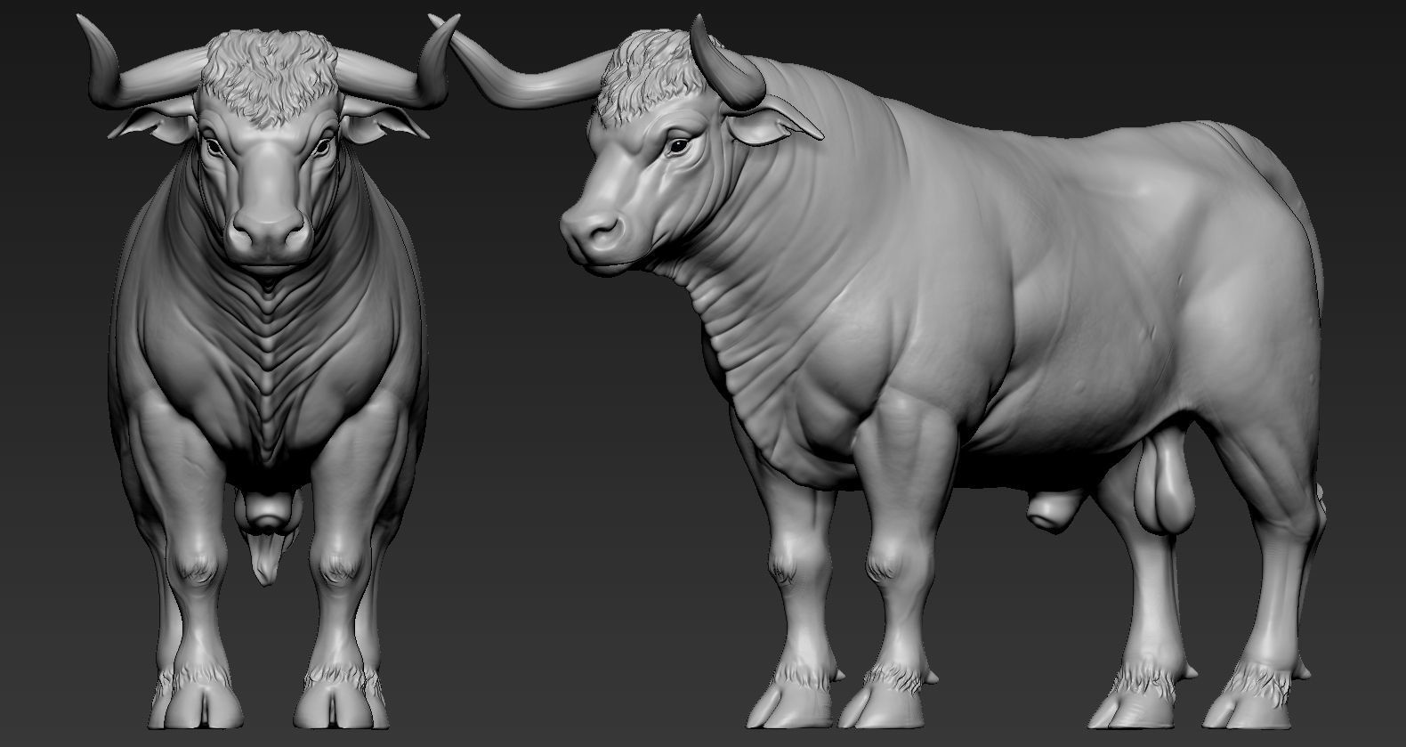 Toros Bravos 3D print model_4