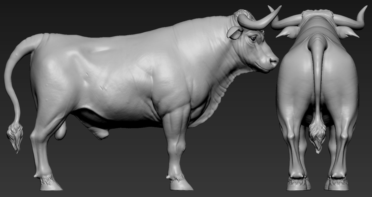 Toros Bravos 3D print model_3